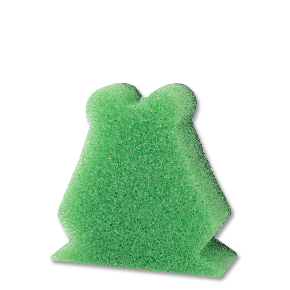 Frosch Reinigungsschwamm